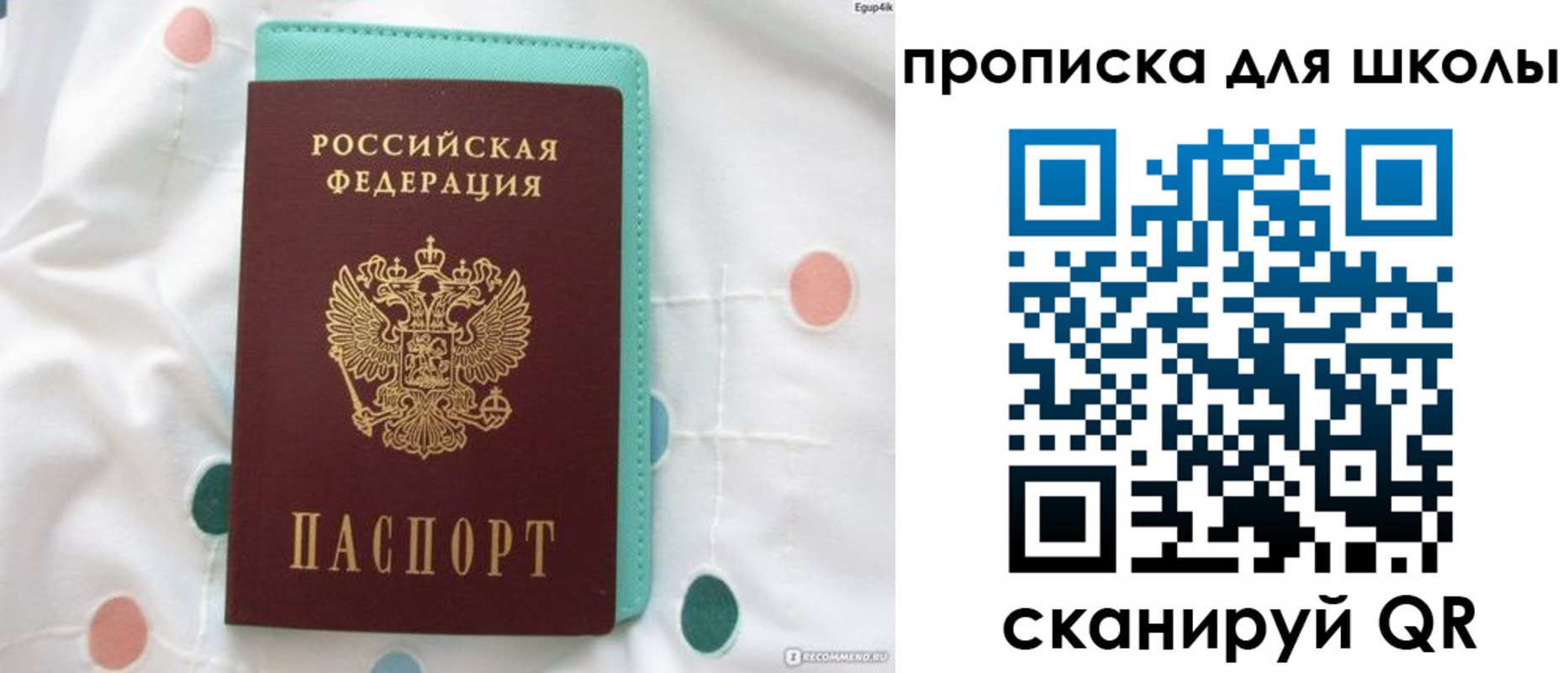 временная регистрация для всех в Амурской области