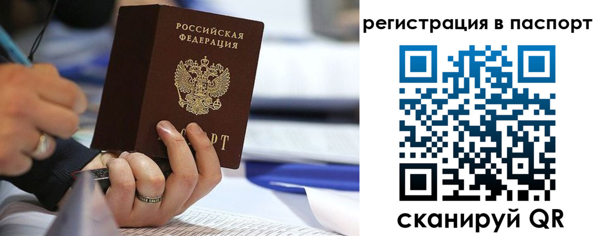 временная регистрация поиск в Амурской области